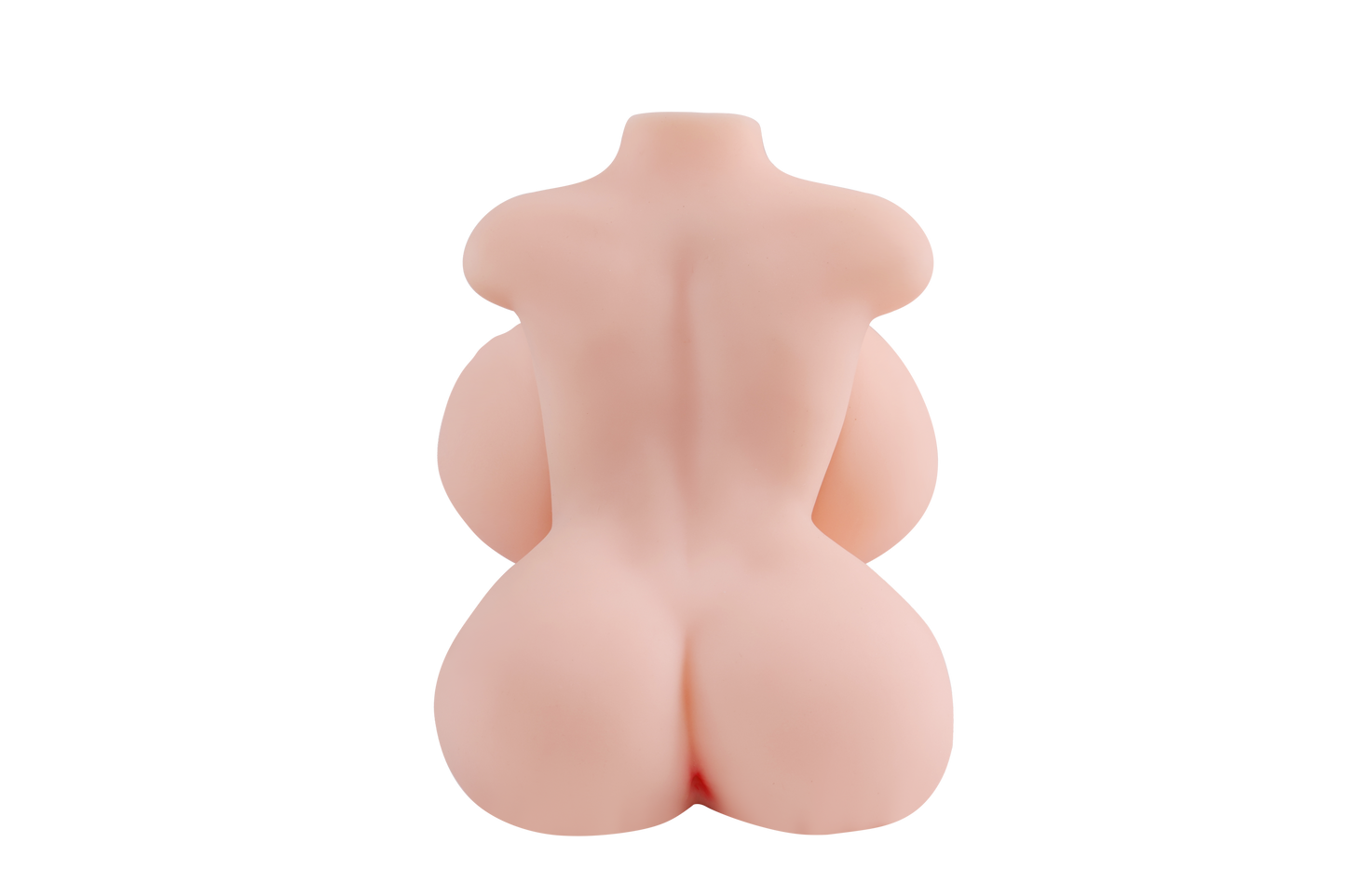 Female Torso with Skeleton (Usable Breasts)-4X600