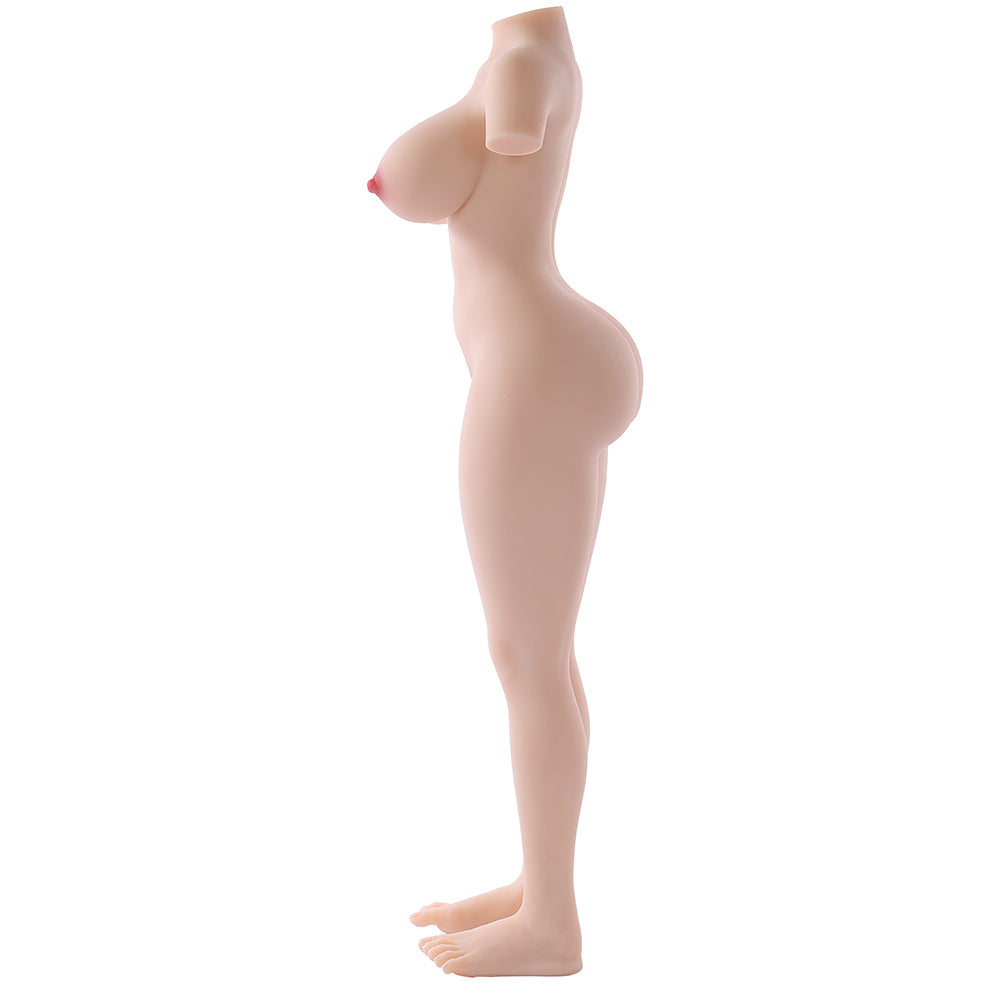 Torso & Legs Model – Dream Series-DREAM96