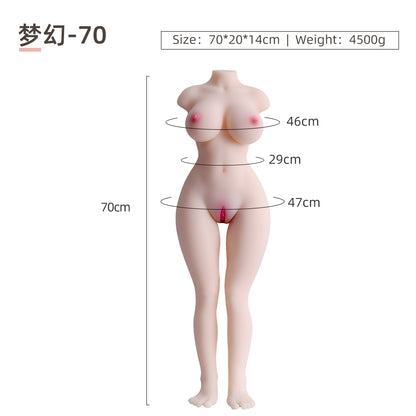 Torso & Legs Model – Dream Series-DREAM70