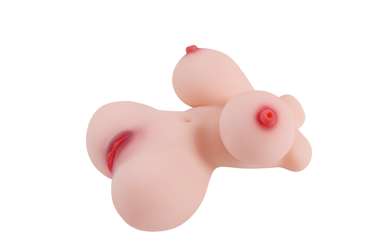 Female Torso with Skeleton (Usable Breasts)-4X600