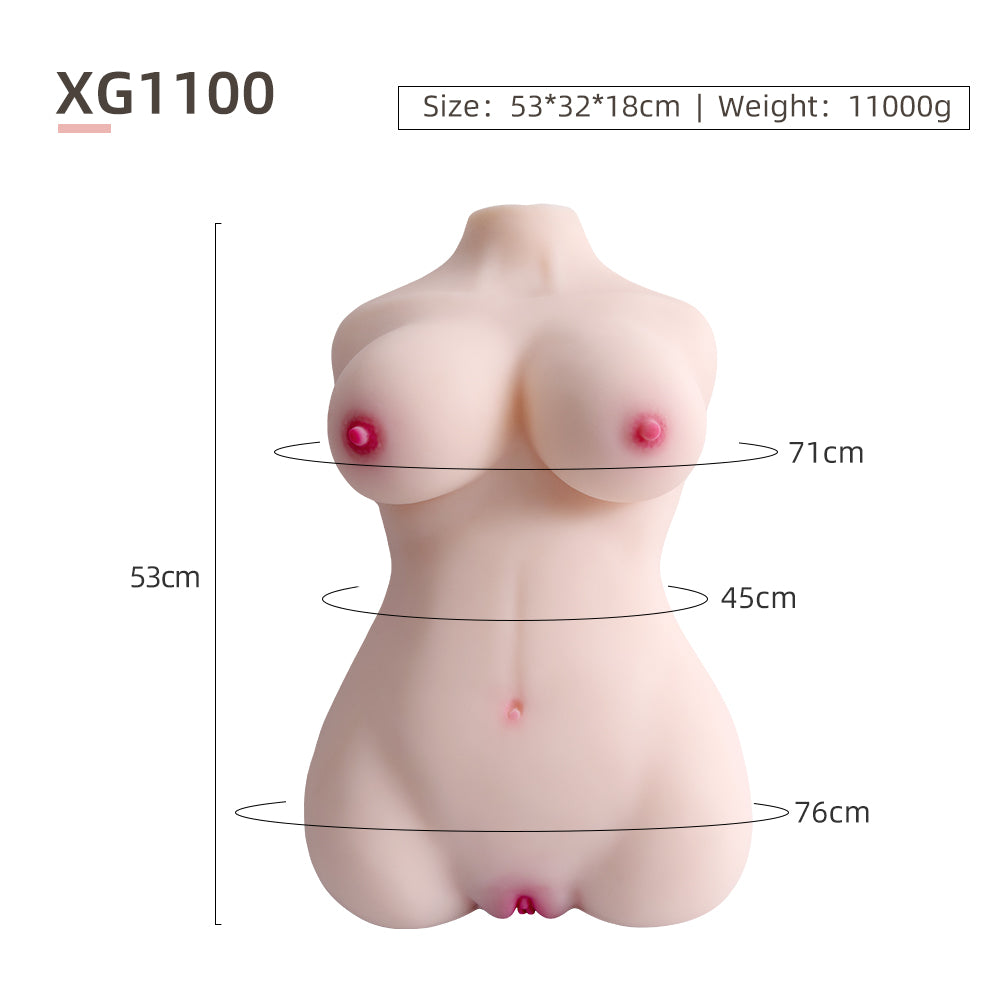 Female Torso (With Skeleton)-XG1100