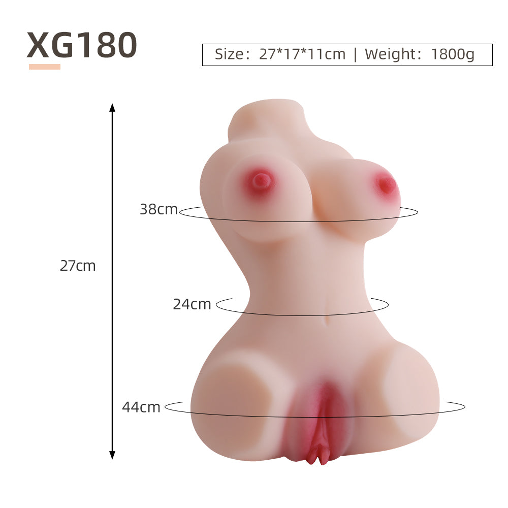 Female Torso (With Skeleton)-XG180