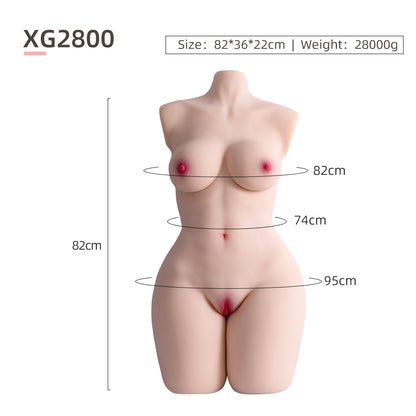 Female Torso (With Skeleton)-XG2800