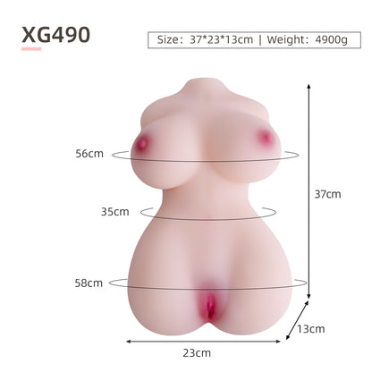 Female Torso (With Skeleton)-XG490