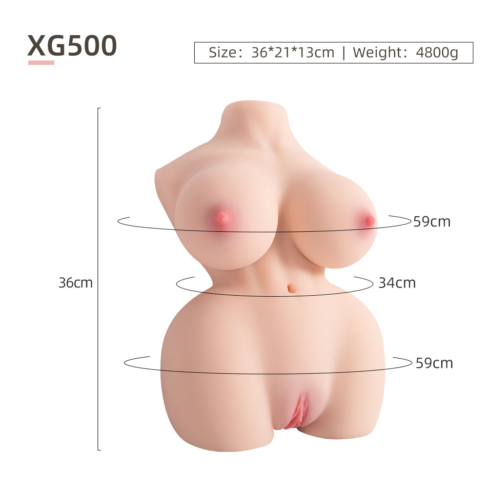 Female Torso (With Skeleton)-XG500