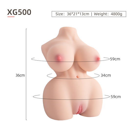 Female Torso (With Skeleton)-XG500