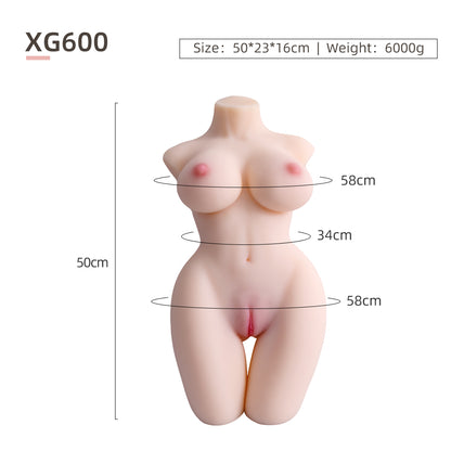 Female Torso (With Skeleton)-XG600