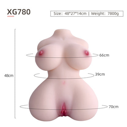 Female Torso (With Skeleton)-XG780