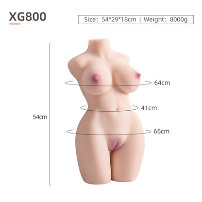 Female Torso (With Skeleton)-XG800